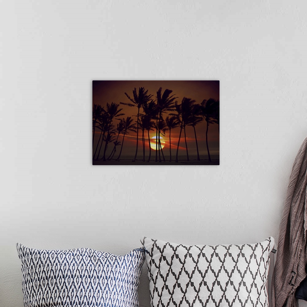 A bohemian room featuring Sunrise silhouette of tall palm trees in Hawaii.