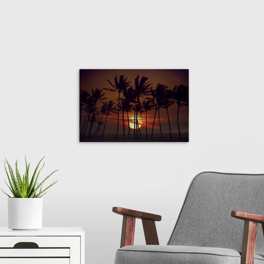 A modern room featuring Sunrise silhouette of tall palm trees in Hawaii.