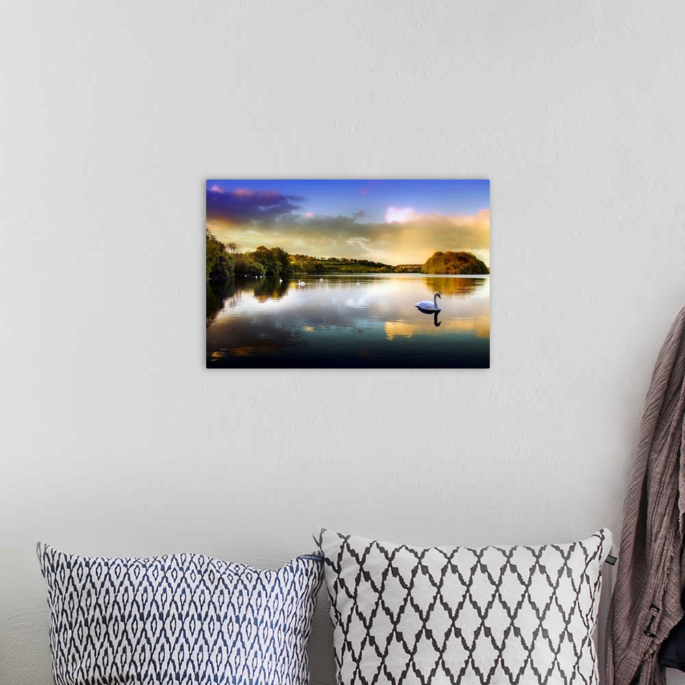 A bohemian room featuring Picture of a swan on a lake in the Scottish Highlands.
