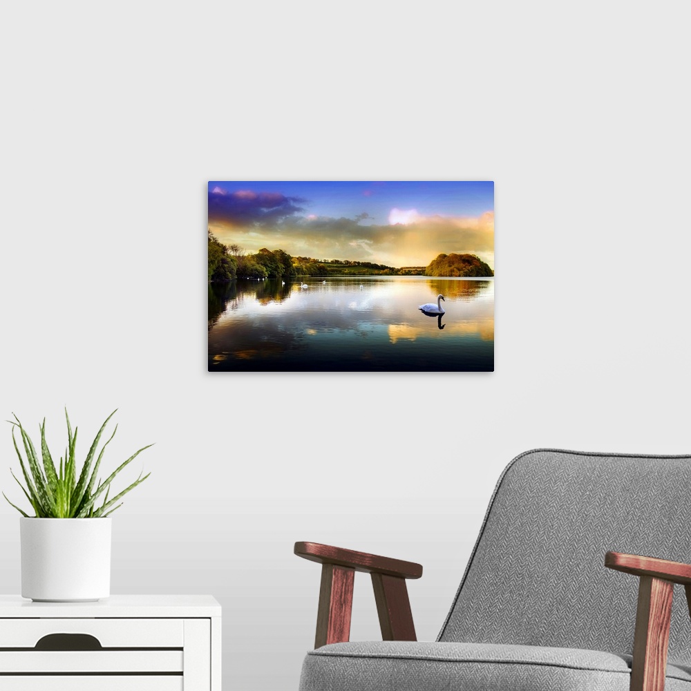 A modern room featuring Picture of a swan on a lake in the Scottish Highlands.