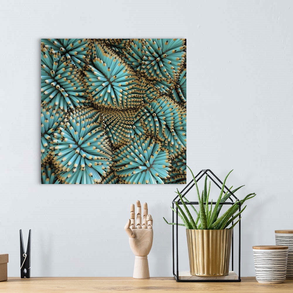 A bohemian room featuring Teal Colored Pencils