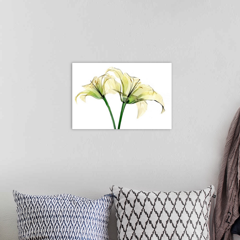 A bohemian room featuring The Lily Flower