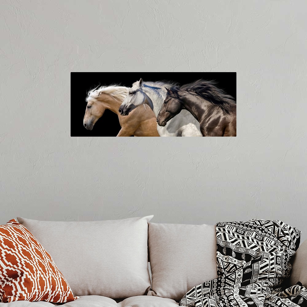 A bohemian room featuring Three Horse Portrait In Motion