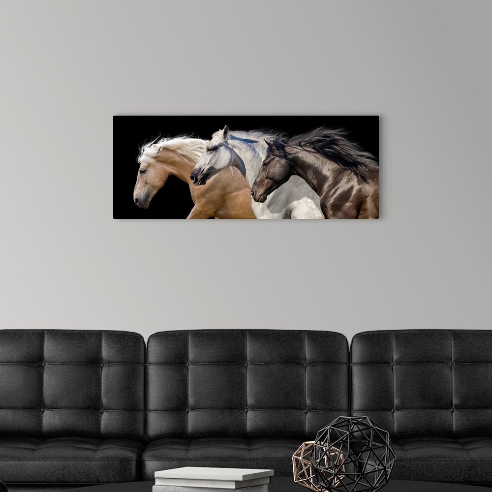 A modern room featuring Three Horse Portrait In Motion