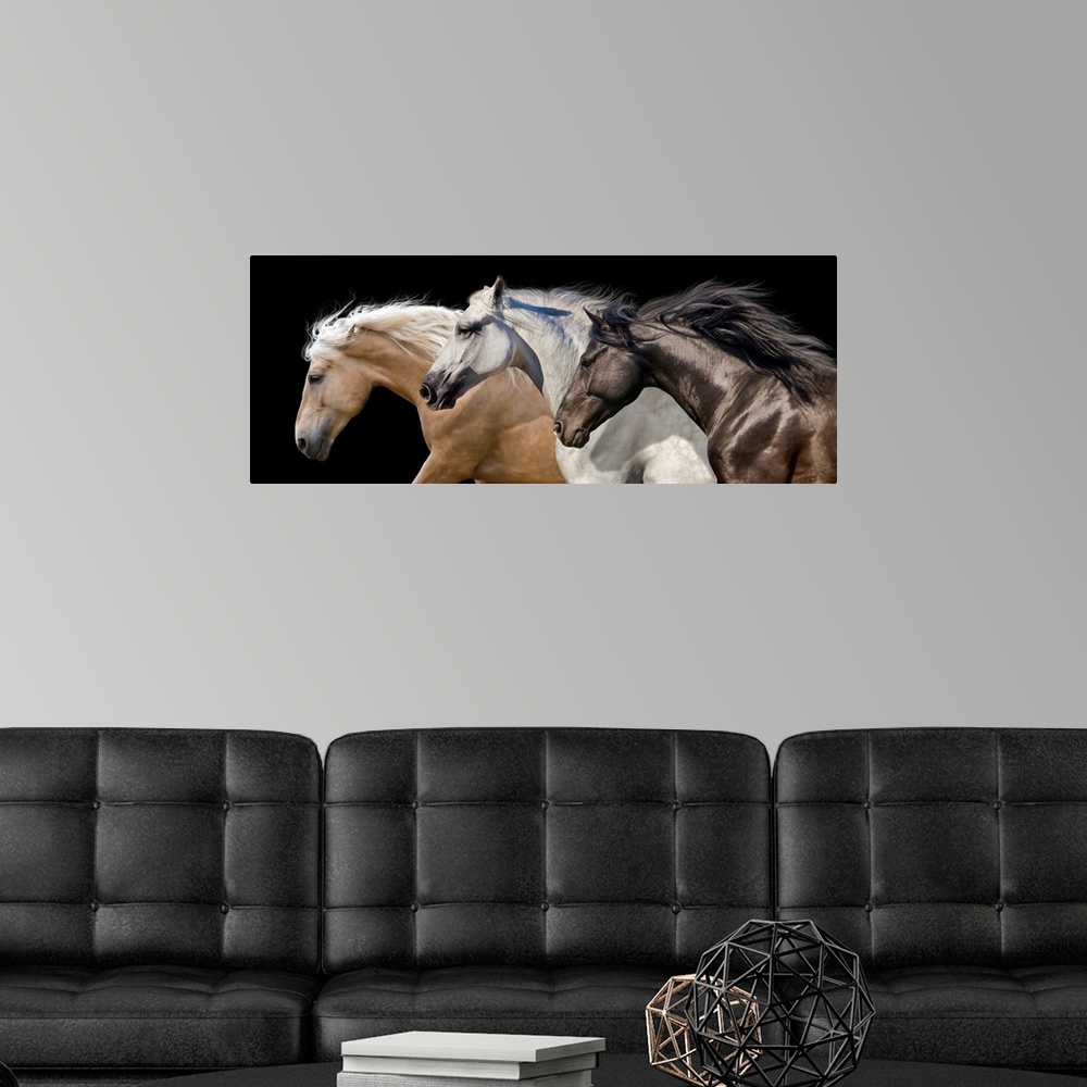 A modern room featuring Three Horse Portrait In Motion