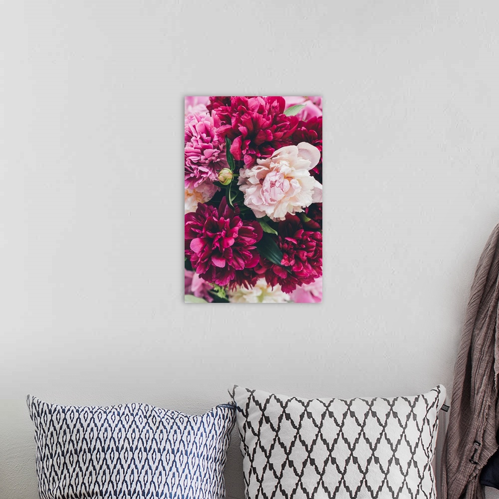 A bohemian room featuring Top View Of Pink Peony Blooming