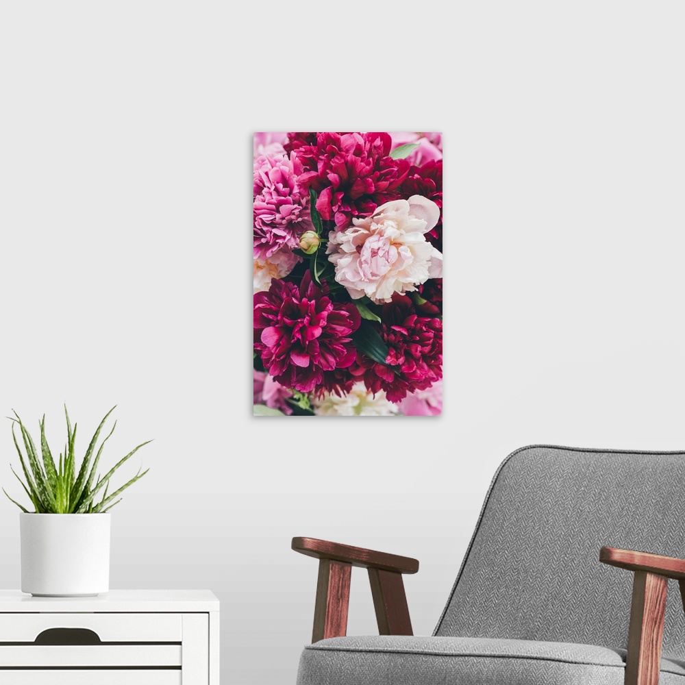 A modern room featuring Top View Of Pink Peony Blooming