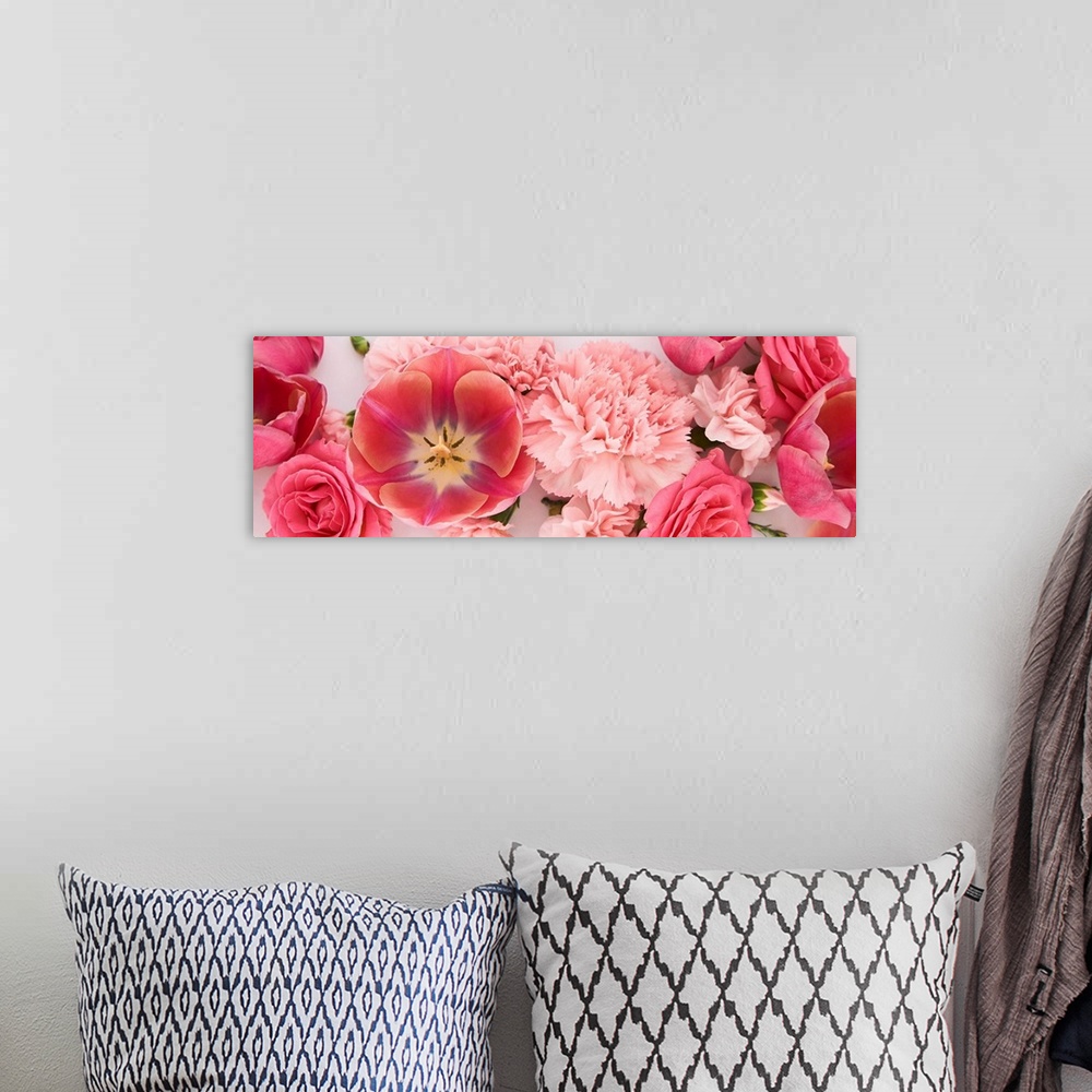 A bohemian room featuring Panoramic of pink spring flowers on white background.