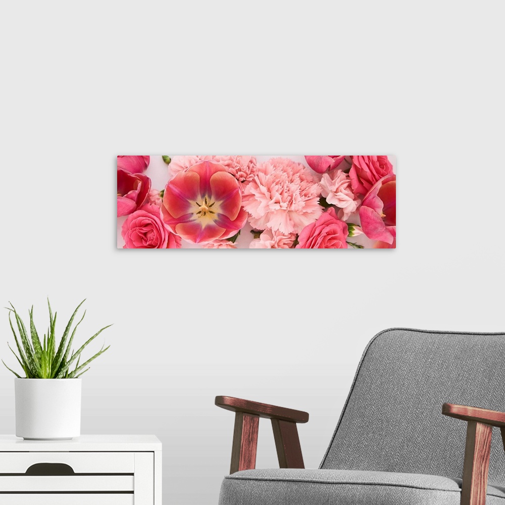 A modern room featuring Panoramic of pink spring flowers on white background.