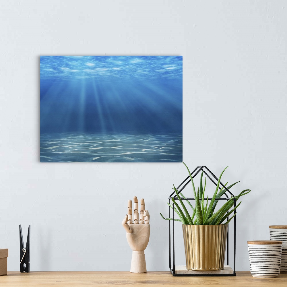 A bohemian room featuring Tranquil underwater scene.