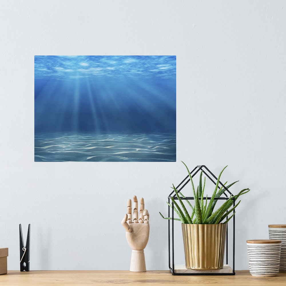 A bohemian room featuring Tranquil underwater scene.