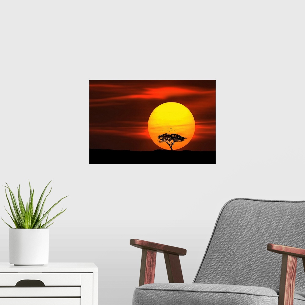 A modern room featuring Tree With Birds At Sunset
