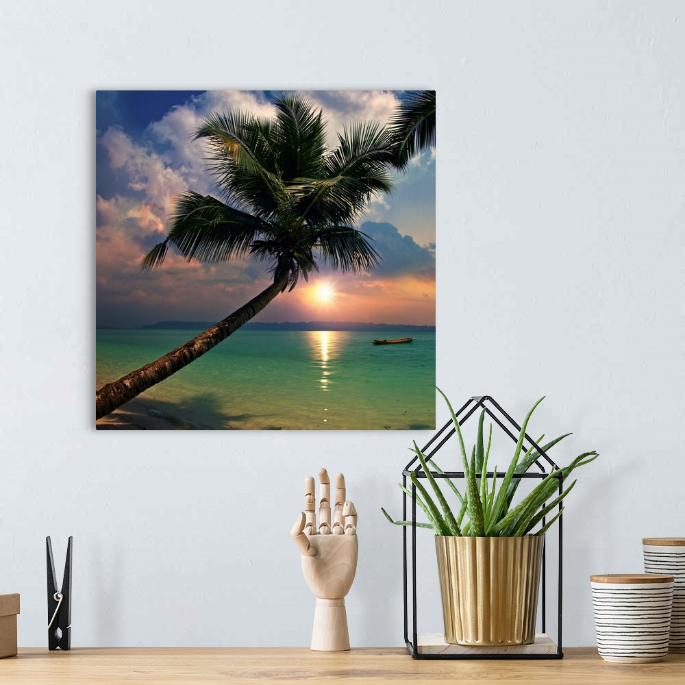 A bohemian room featuring Tropical sea view with green wave splashing on sandy beach and palm tree.