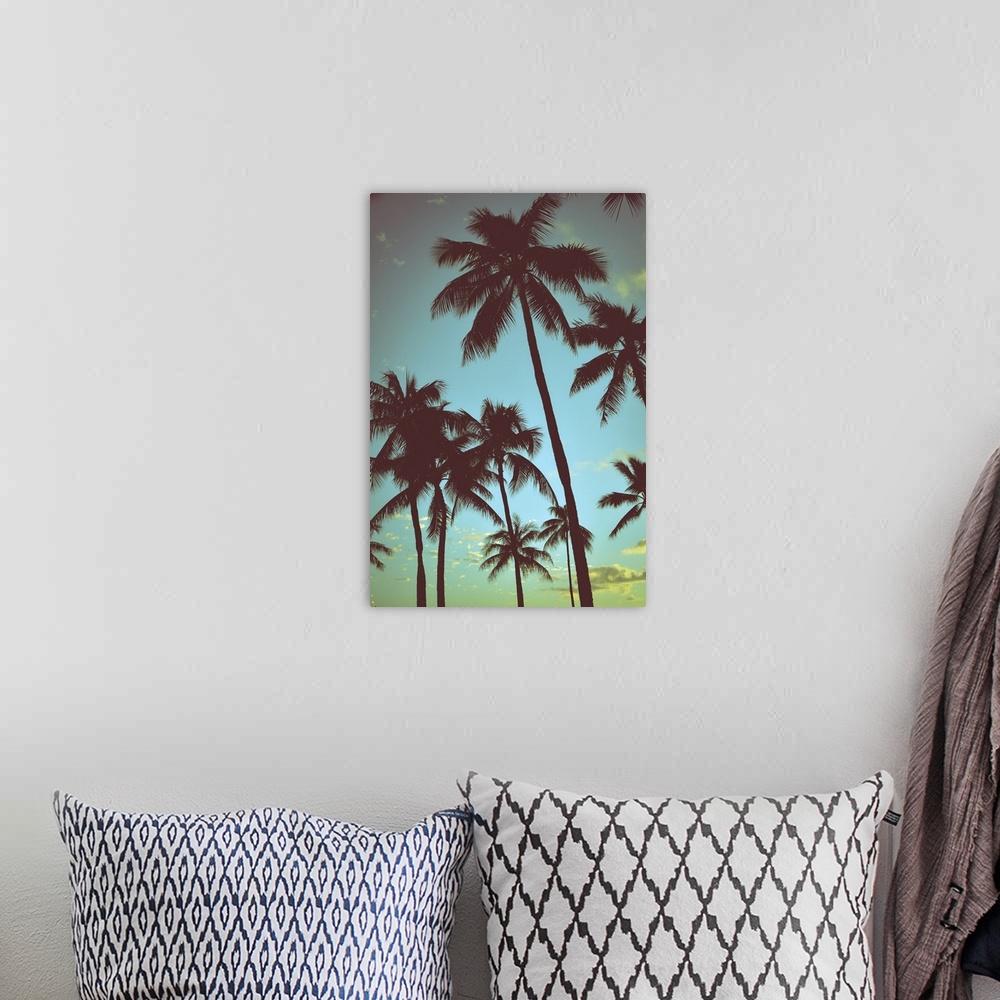 A bohemian room featuring Filtered vintage retro styled palm trees in Hawaii.