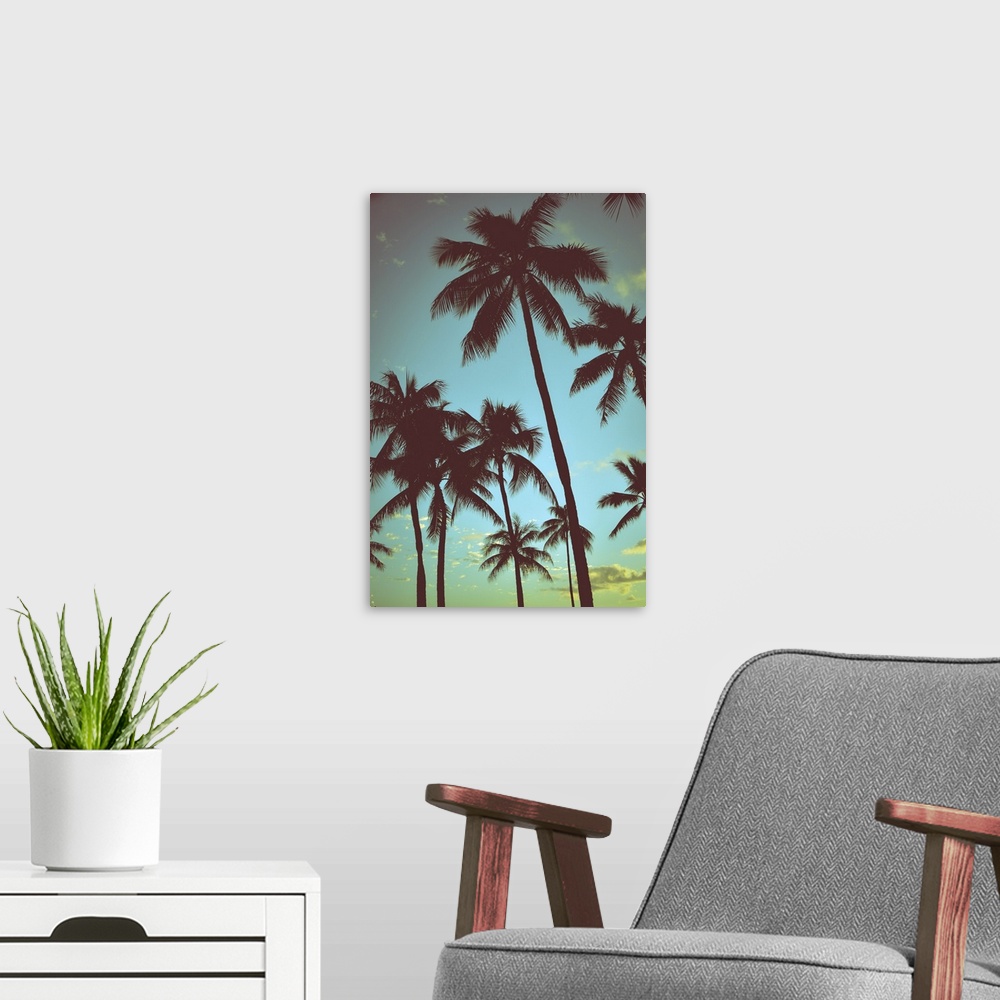 A modern room featuring Filtered vintage retro styled palm trees in Hawaii.