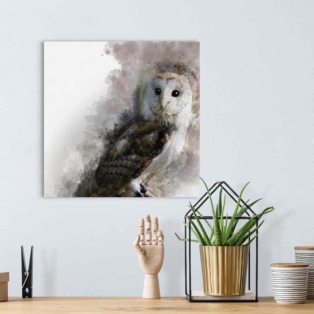 A bohemian room featuring Watercolor Barn Owl