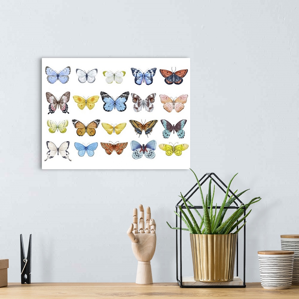 A bohemian room featuring Watercolor Butterfly Set
