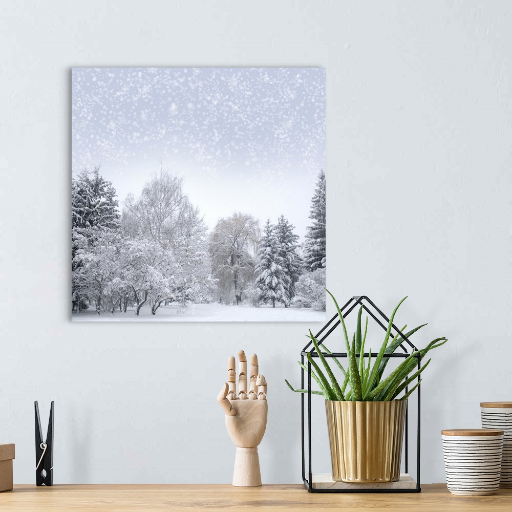 A bohemian room featuring Christmas forest with snow, sky, fog.