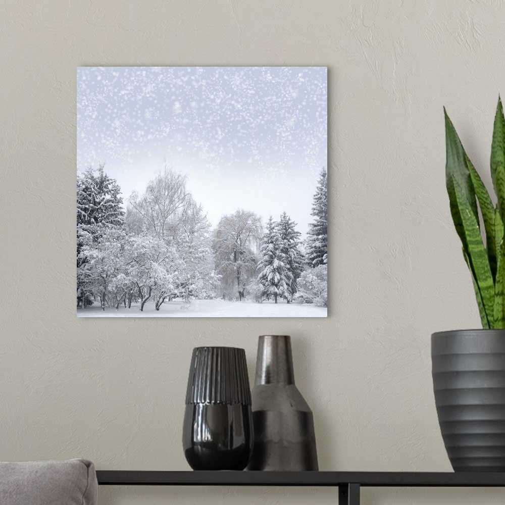 A modern room featuring Christmas forest with snow, sky, fog.
