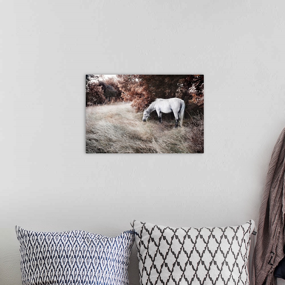 A bohemian room featuring Artistic image of a beautiful white horse.