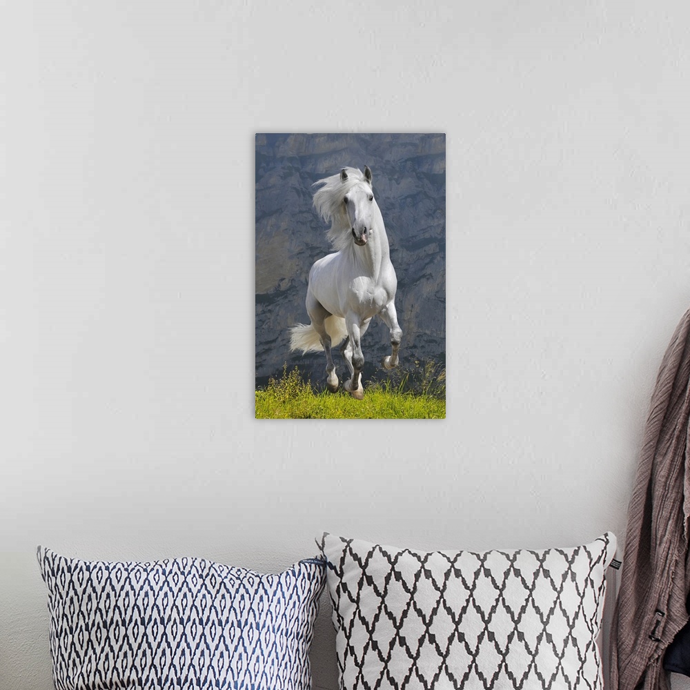 A bohemian room featuring White Horse Galloping