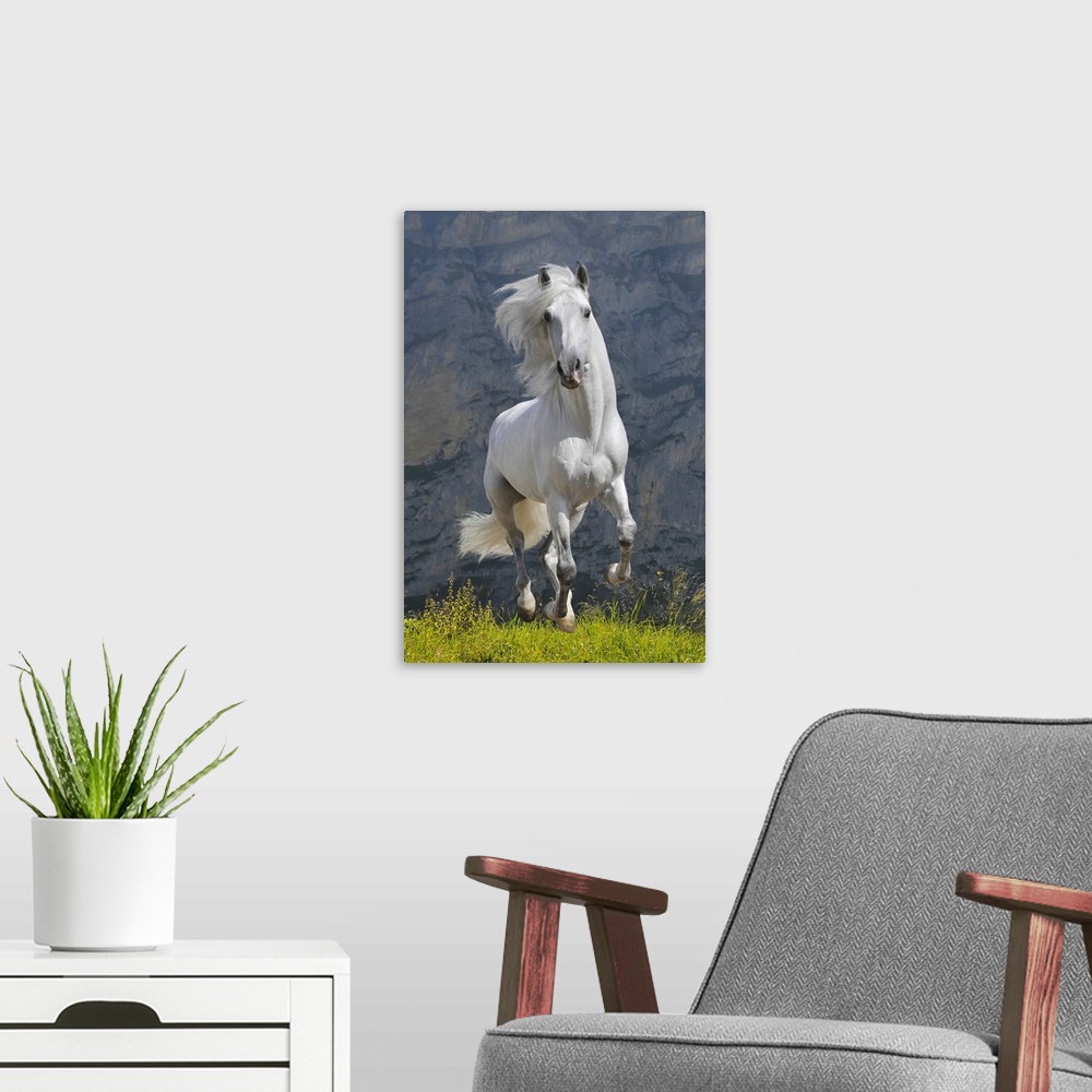 A modern room featuring White Horse Galloping