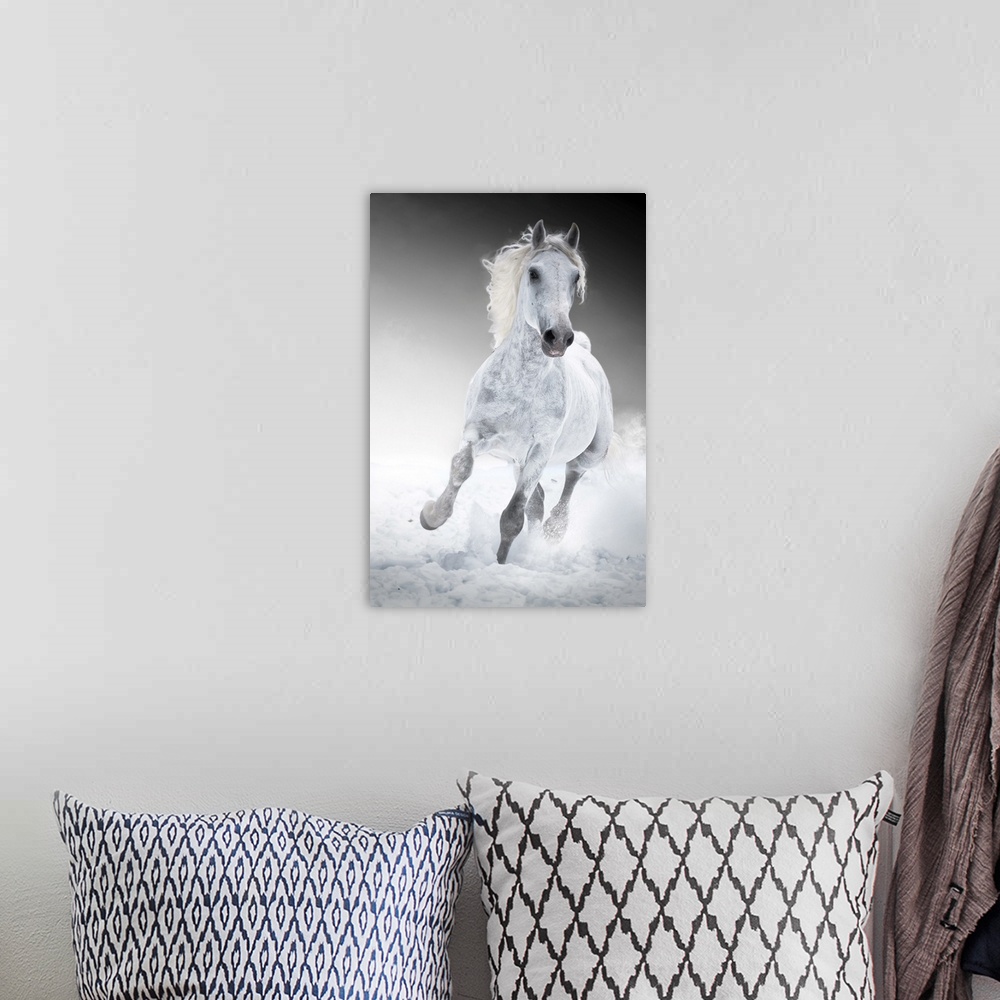 A bohemian room featuring White Horse Runs Gallop In Winter
