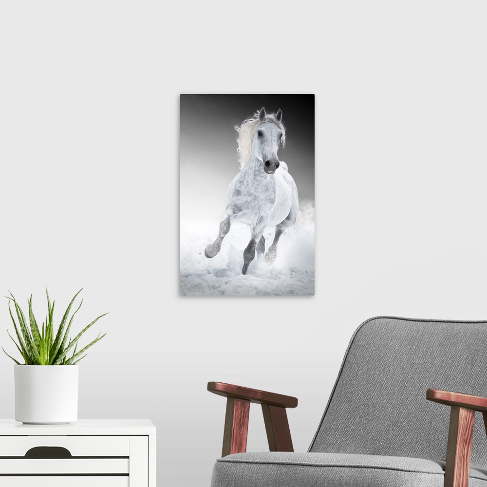 A modern room featuring White Horse Runs Gallop In Winter