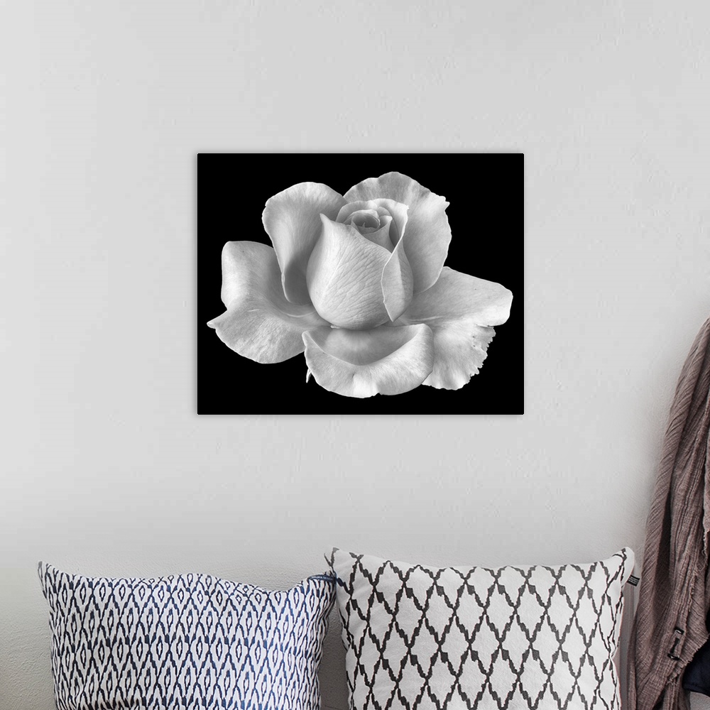 A bohemian room featuring White Rose Blossom
