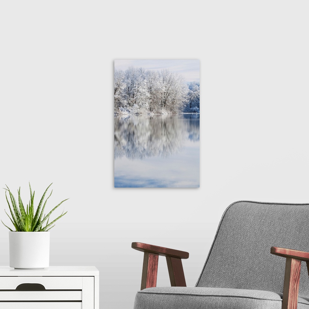 A modern room featuring Winter landscape of snow covered trees on the shoreline of Jackson Hole Lake with reflections in ...