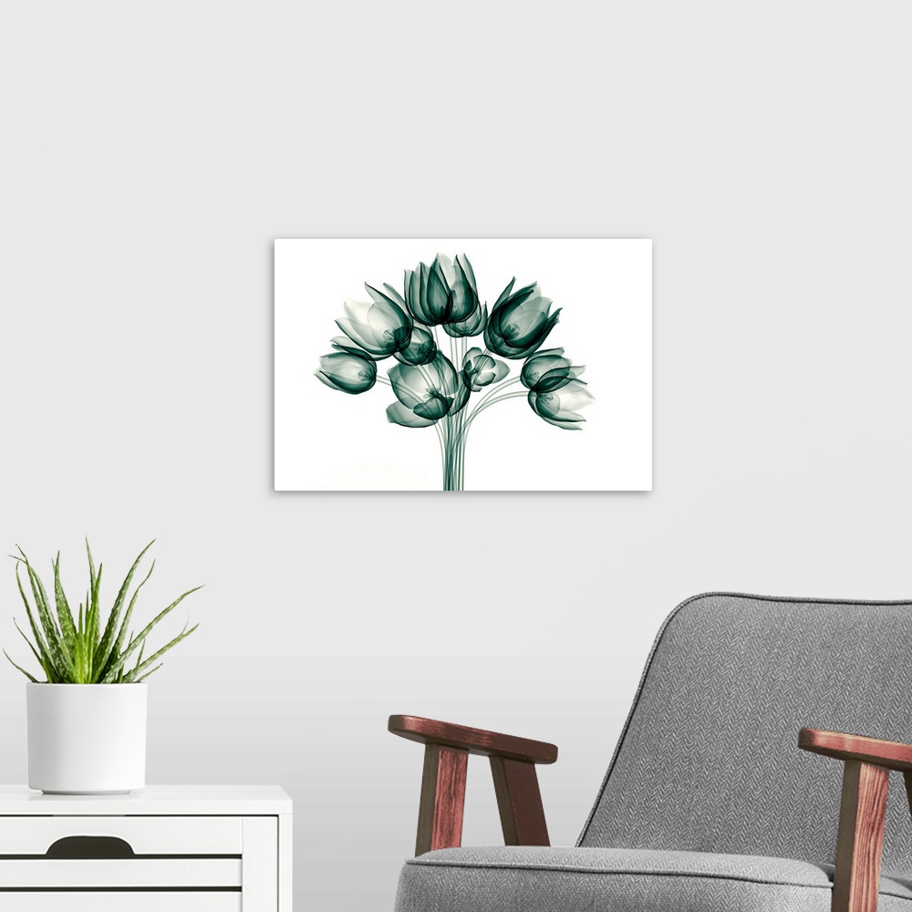 A modern room featuring X-Ray Image Of A Tulip