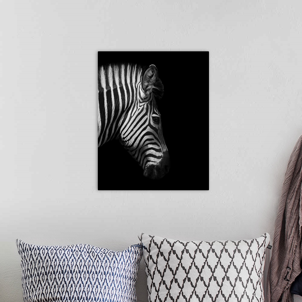 A bohemian room featuring Zebra head from the side in black and white.