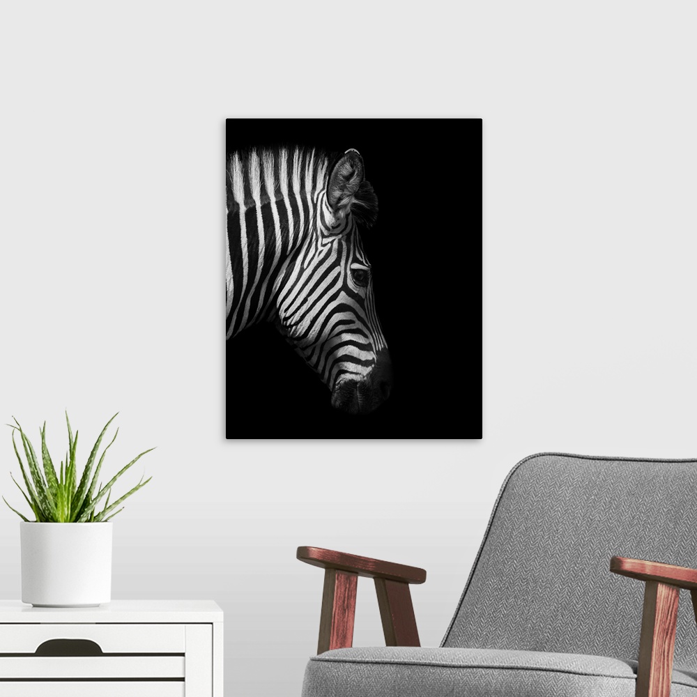 A modern room featuring Zebra head from the side in black and white.