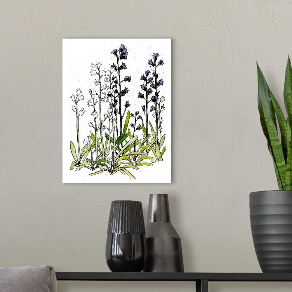 A modern room featuring Ink & watercolor drawing of some recently bloomed crocuses. Around April, they are pushing up eve...