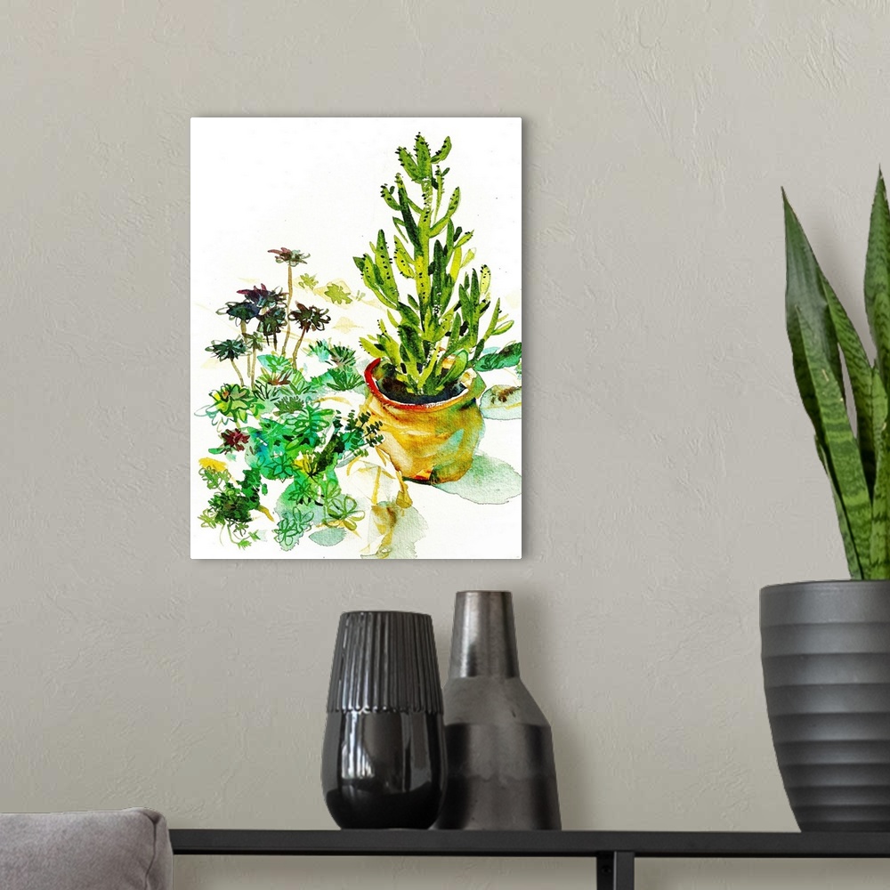 A modern room featuring Loose watercolor study of a collection of succulents and a large potted cactus. Seen in the Volun...