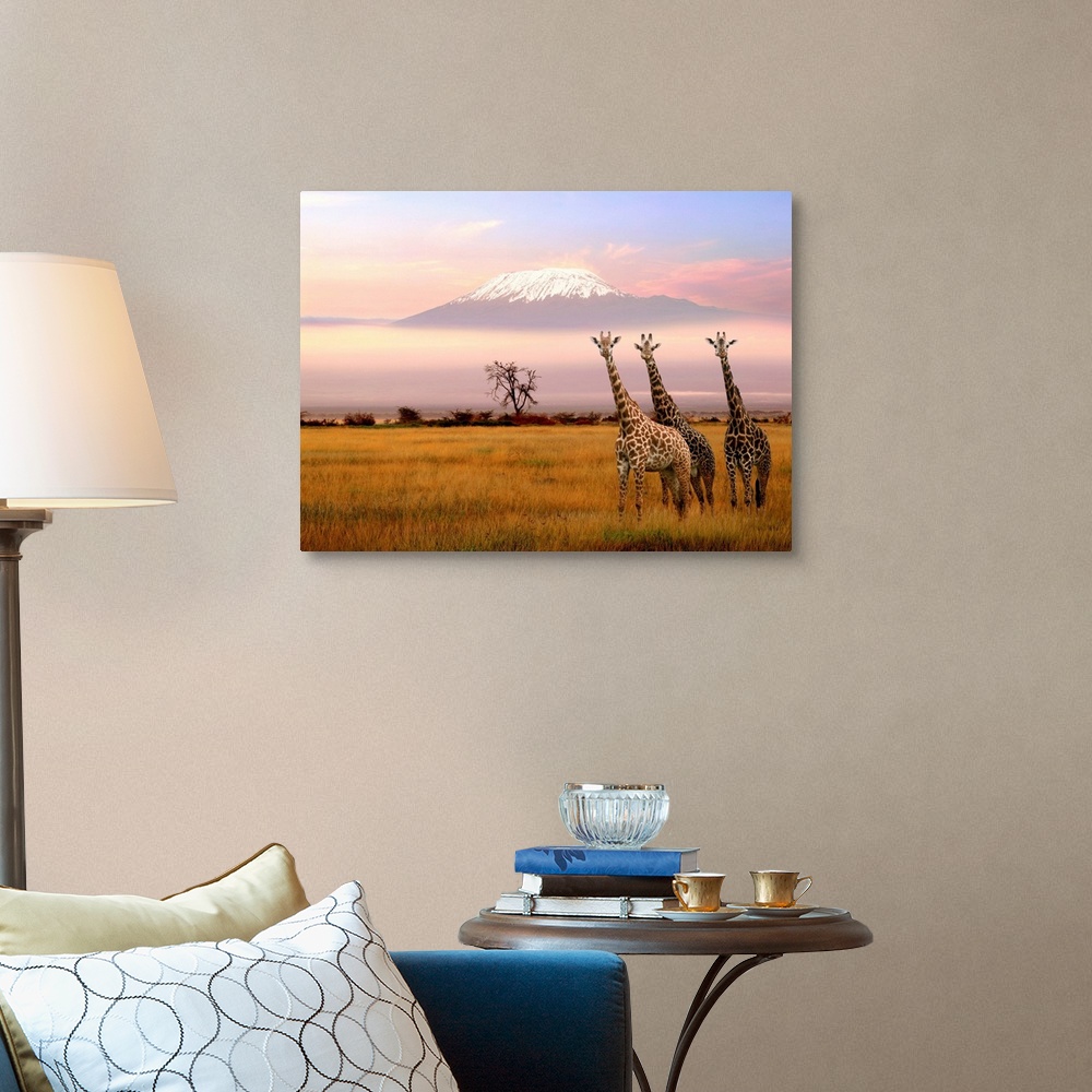 A traditional room featuring Giraffe and Kilimanjaro, Amboseli Park, Kenya