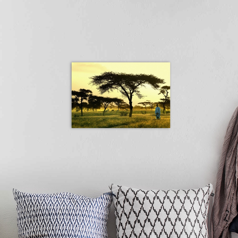 A bohemian room featuring Senegal, Landscape near Dagana town