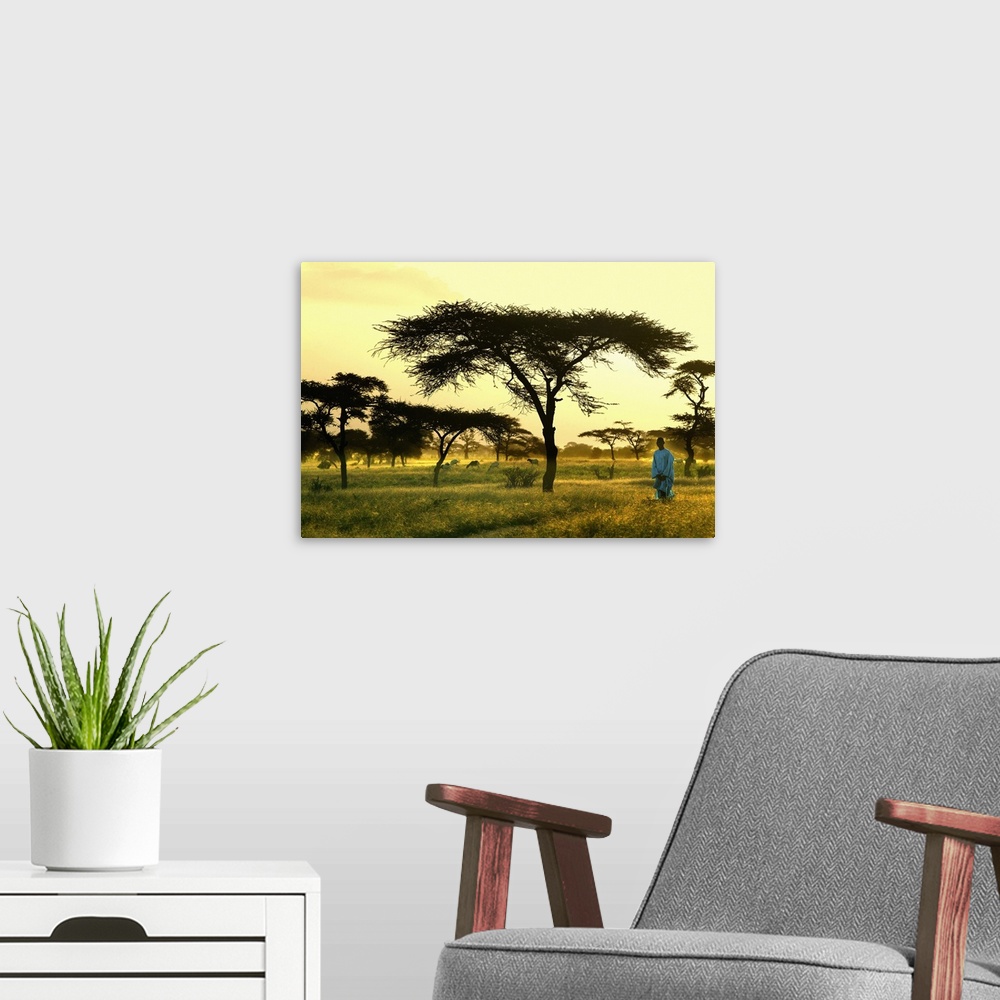 A modern room featuring Senegal, Landscape near Dagana town
