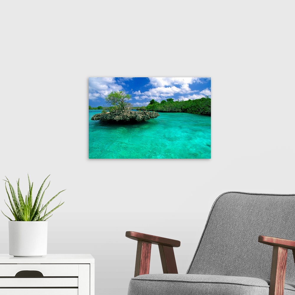 A modern room featuring Africa, Seychelles, Aldabra atoll, Outer islands, Aldabra atoll, lagoon