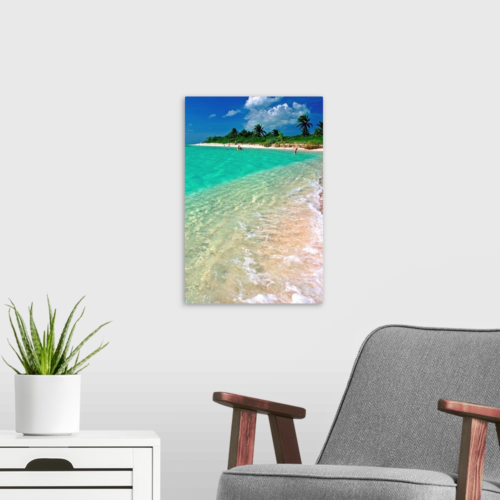 A modern room featuring Antilles, Caribbean, Cayman Islands, Point of Sand, beach