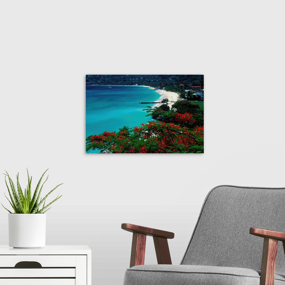 A modern room featuring La spiaggia lungo la Grande Anse . la pi. lunga dell'isola di Grenada.