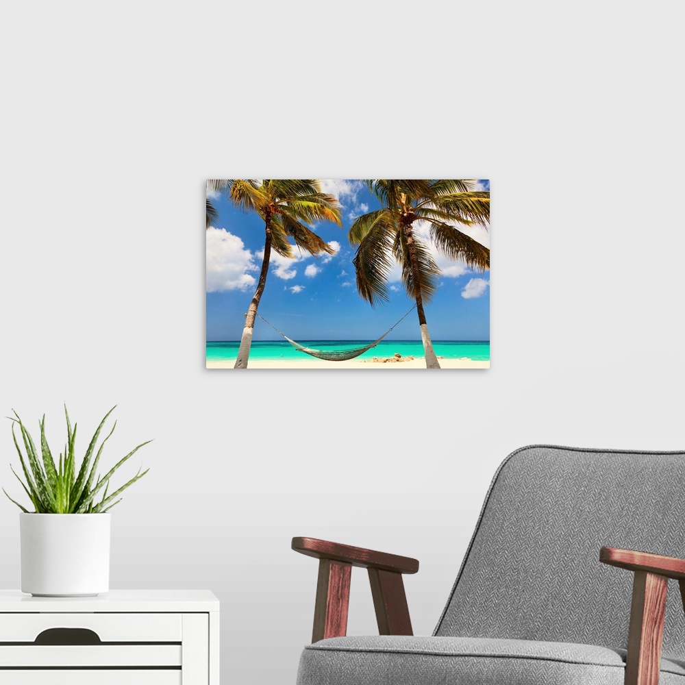 A modern room featuring Aruba, Druif beach, beach scene at Tamarijn resort