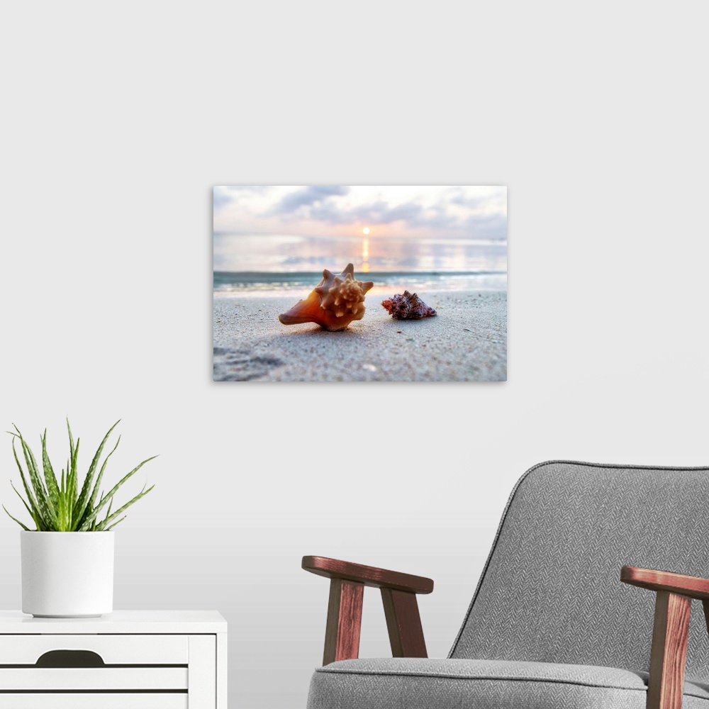 A modern room featuring Aruba, Sunset Scene at Juanita beach.
