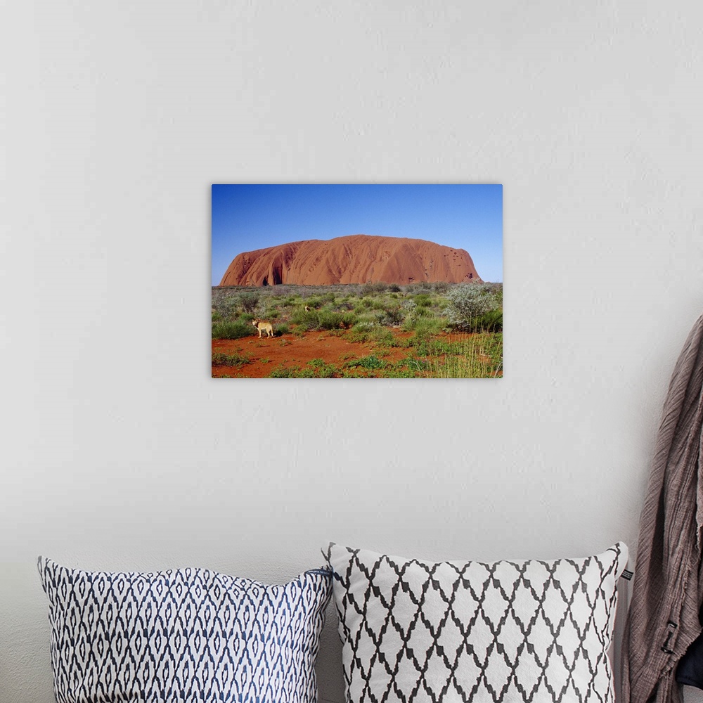 A bohemian room featuring Australia, Northern Territory, Ayers Rock (Uluru), the largest monolith in the world