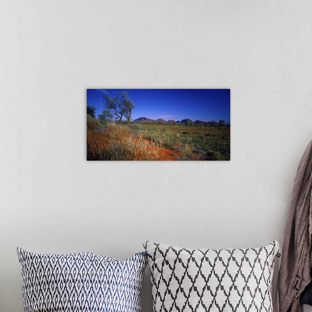 A bohemian room featuring Australia, Northern Territory, Uluru National Park, The Olgas (rock formations)