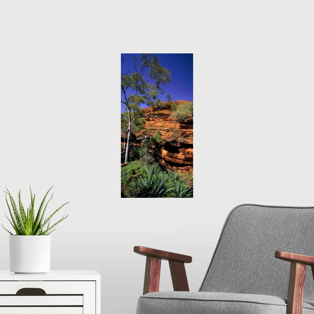 A modern room featuring Australia, Northern Territory, Watarrka NP, (Kings Canyon), Garden of Eden valley