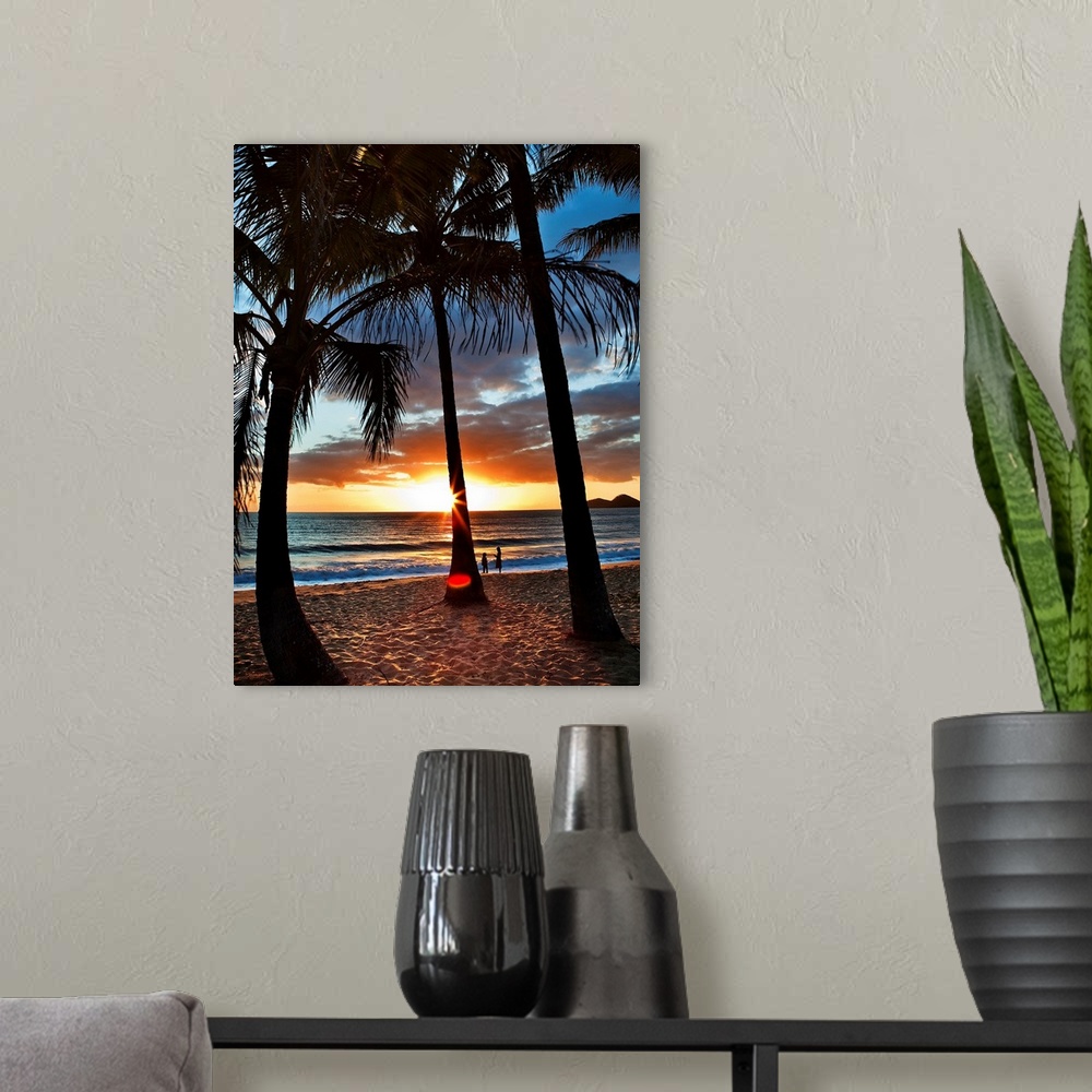 A modern room featuring Australia, Queensland, Oceania, Cairns, Sunrise on Ellis Beach