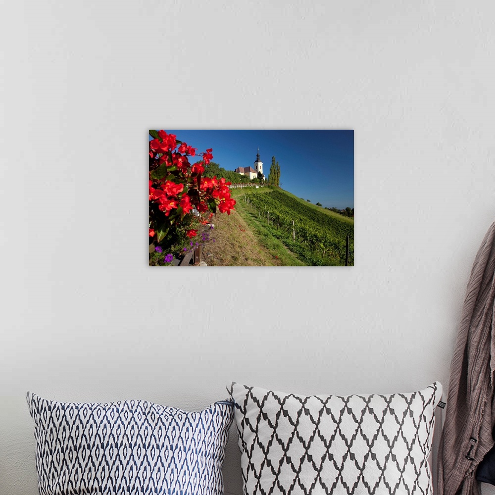A bohemian room featuring Austria, Styria, Central Europe, Kitzeck im Sausal, Sausaler wine road