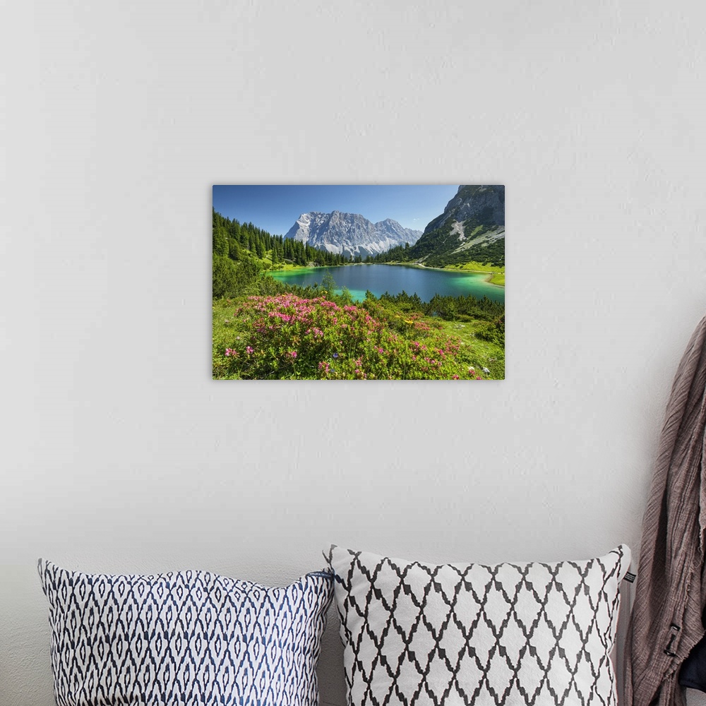 A bohemian room featuring Austria, Tyrol, AuBerfern, Ehrwald, Zugspitze Mountain, Austrian Alps, Blooming alpine roses at S...