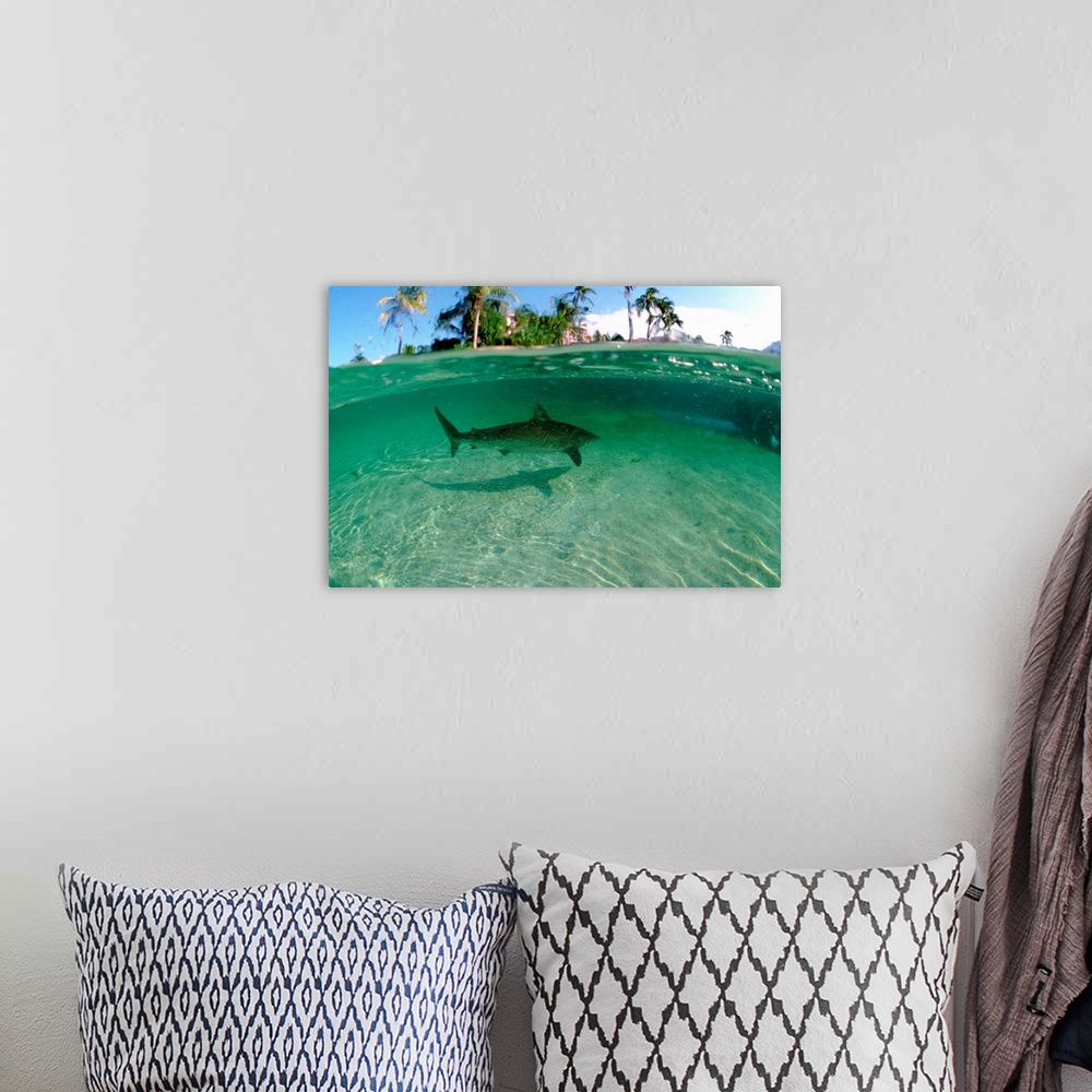 A bohemian room featuring Bahamas, Nassau, Paradise Island, Atlantis Resort, Predators Lagoon